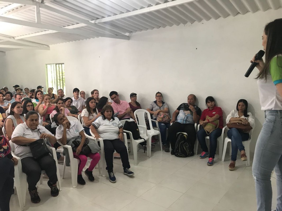 IMSALUD