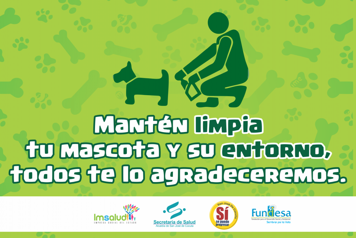 IMSALUD