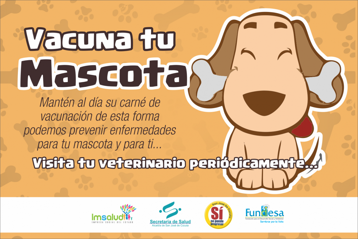 IMSALUD