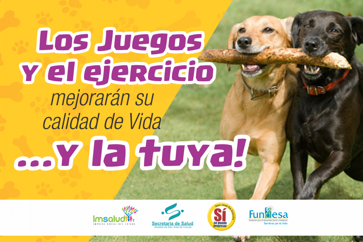 IMSALUD