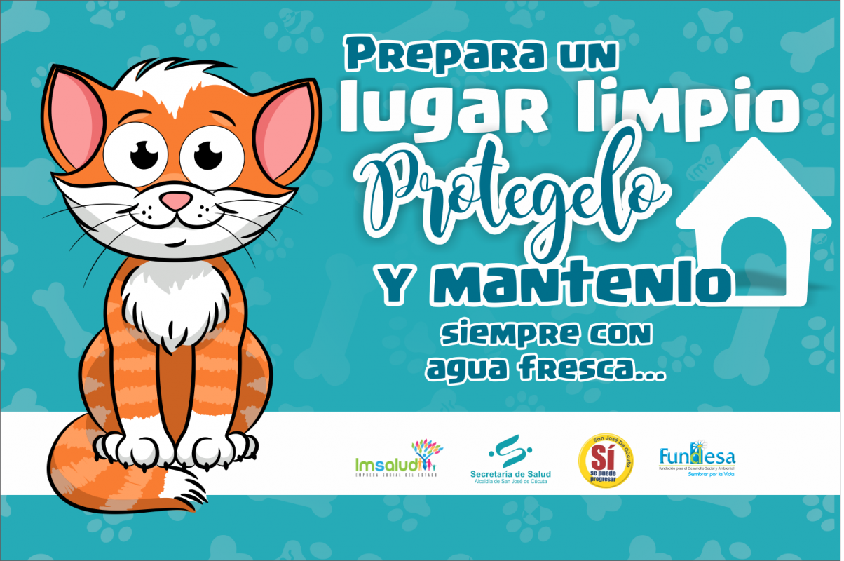 IMSALUD