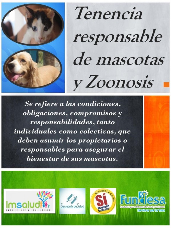 IMSALUD