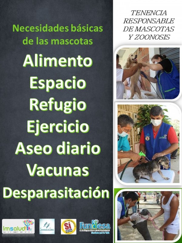 IMSALUD