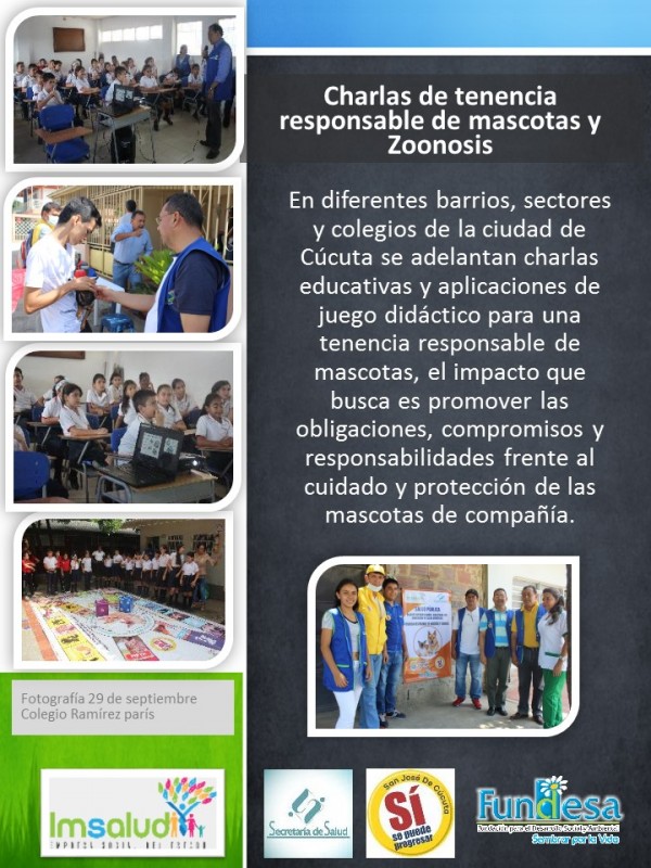 IMSALUD