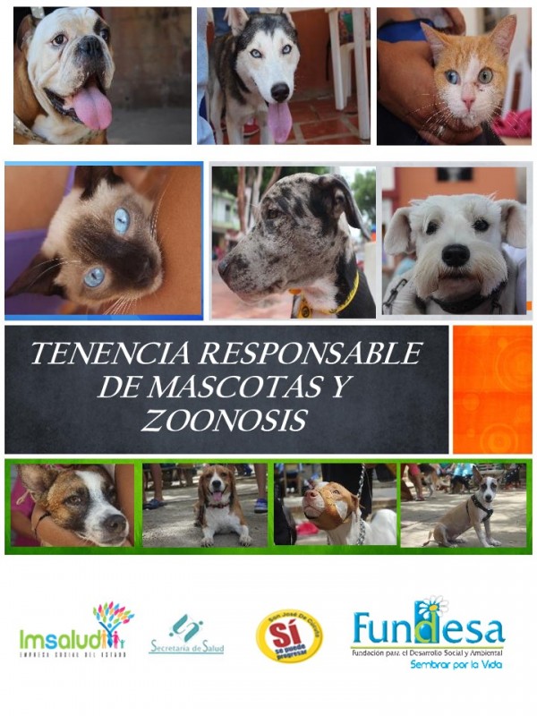 IMSALUD