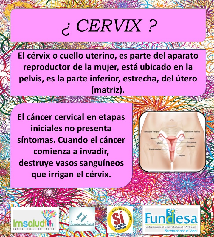 IMSALUD