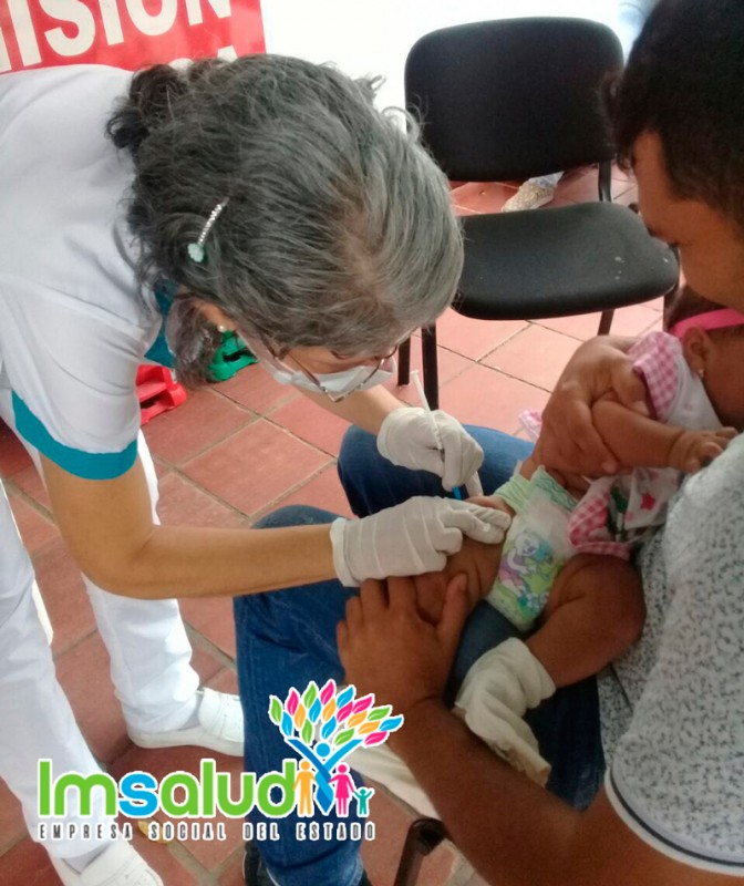 IMSALUD