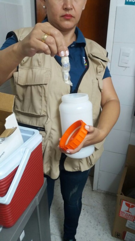 IMSALUD
