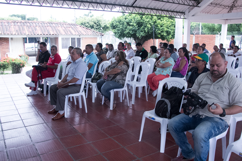 IMSALUD