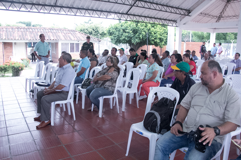 IMSALUD