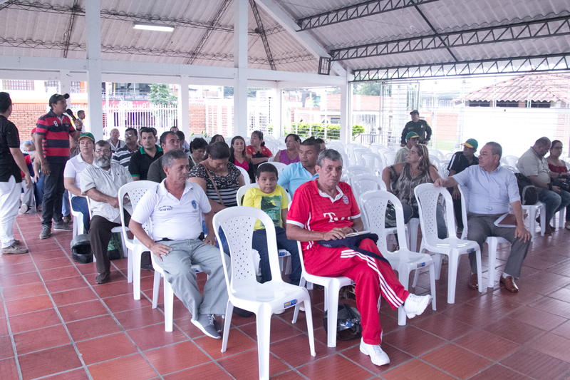 IMSALUD