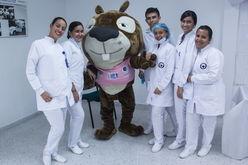 IMSALUD