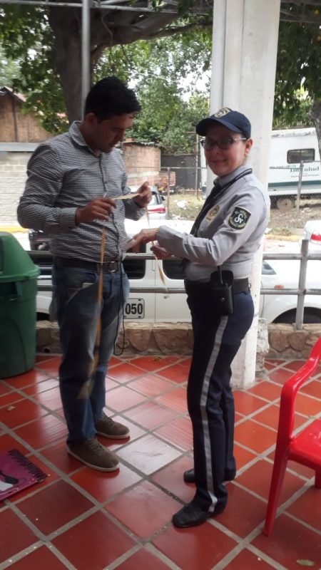 IMSALUD