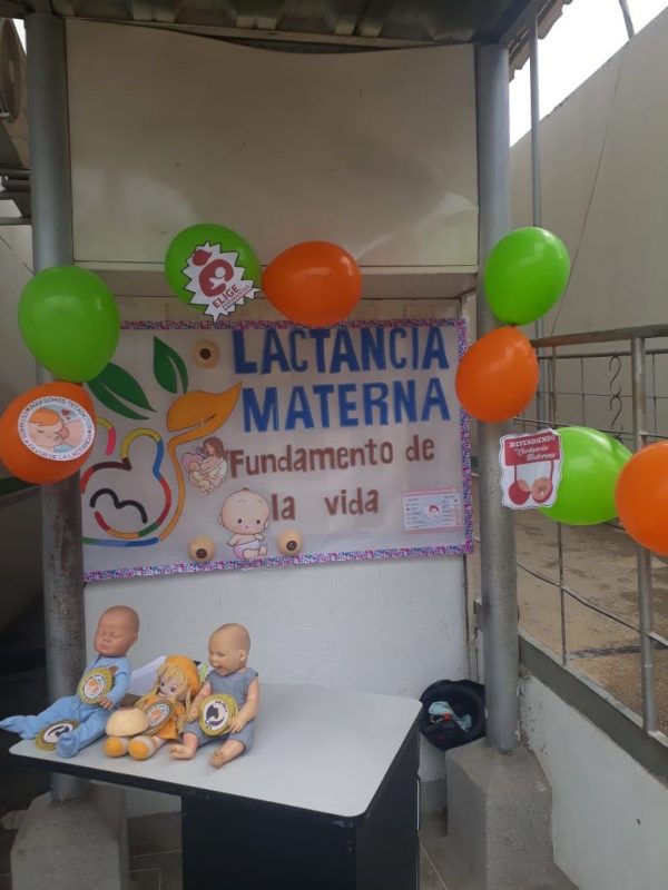 IMSALUD
