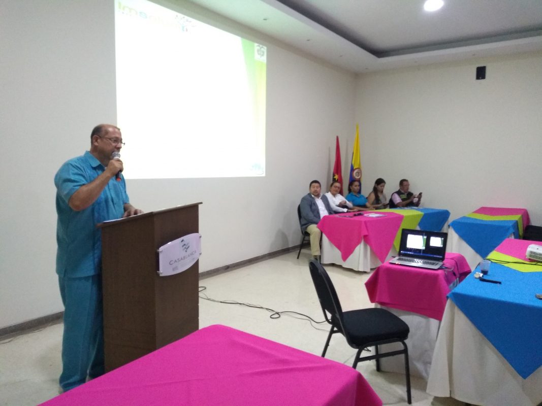 IMSALUD
