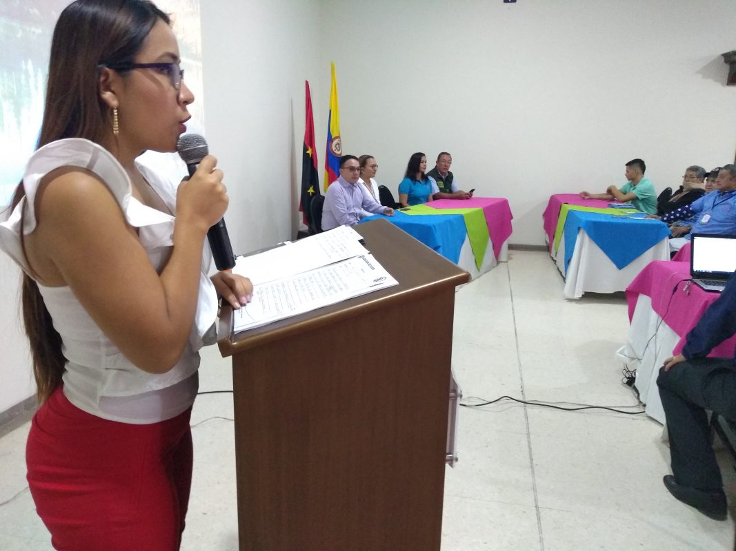 IMSALUD