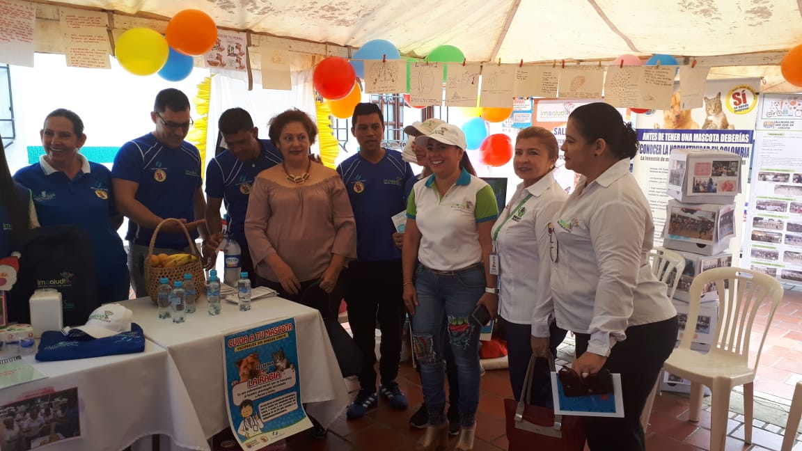 IMSALUD