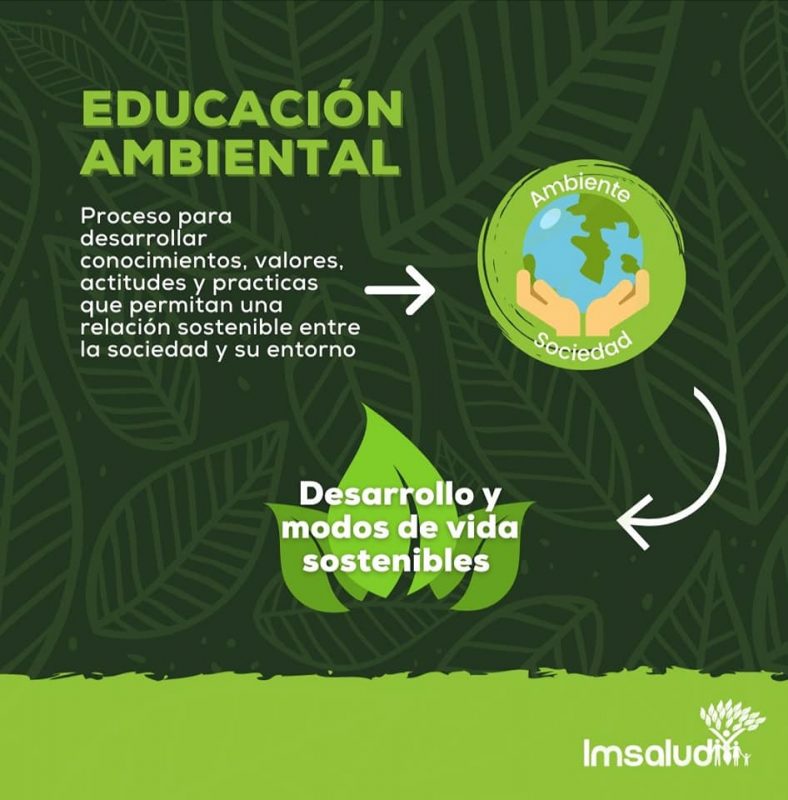 IMSALUD