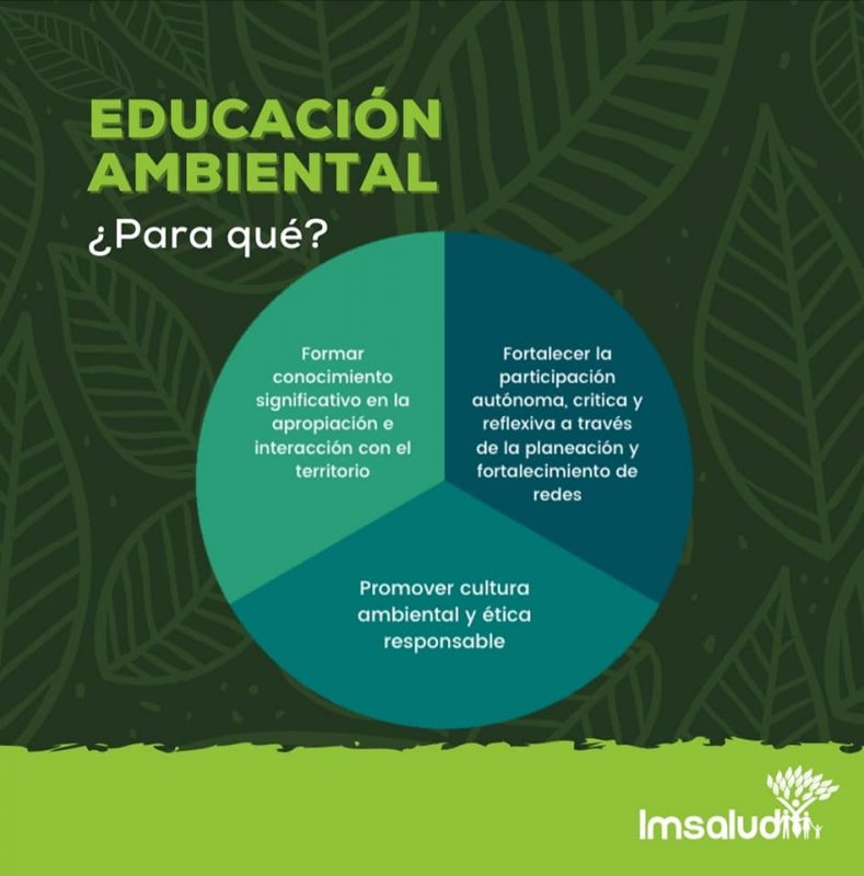 IMSALUD