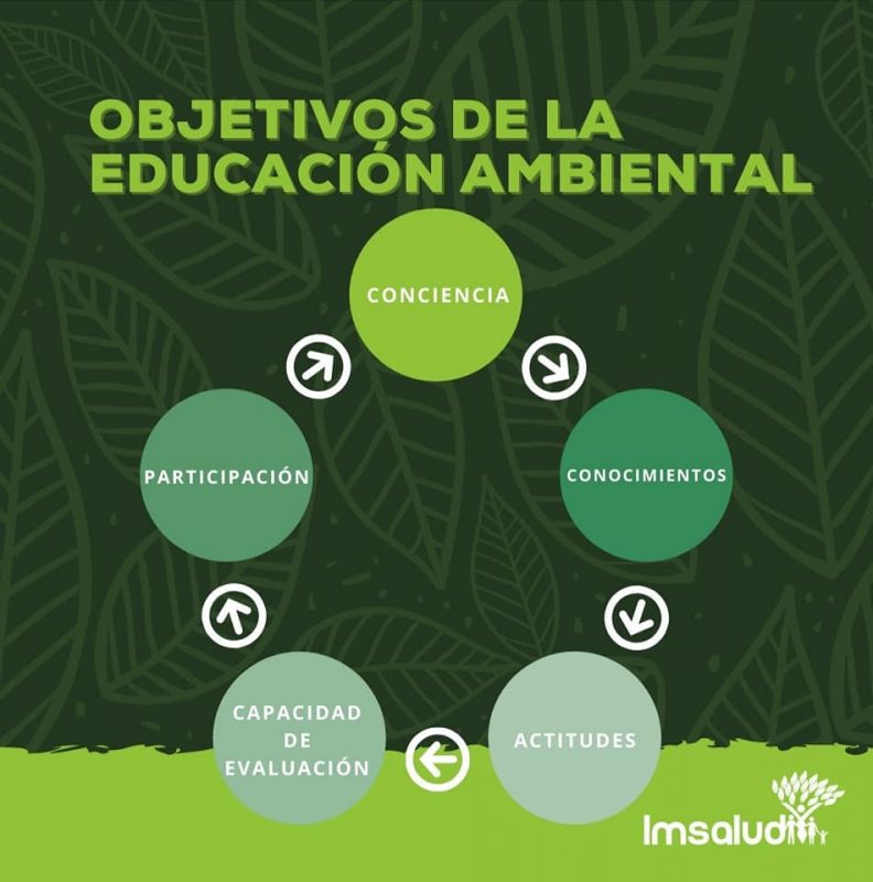 IMSALUD