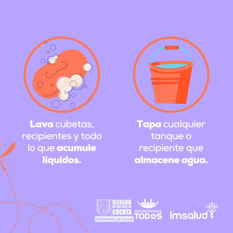 IMSALUD
