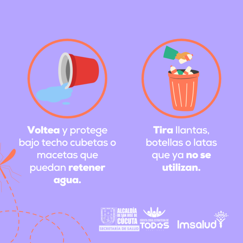 IMSALUD