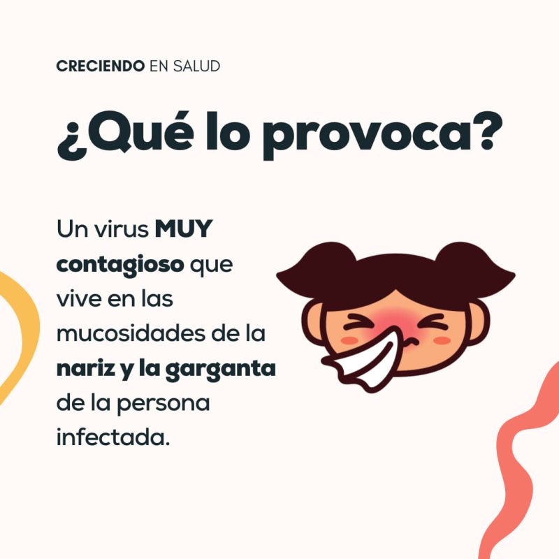 IMSALUD