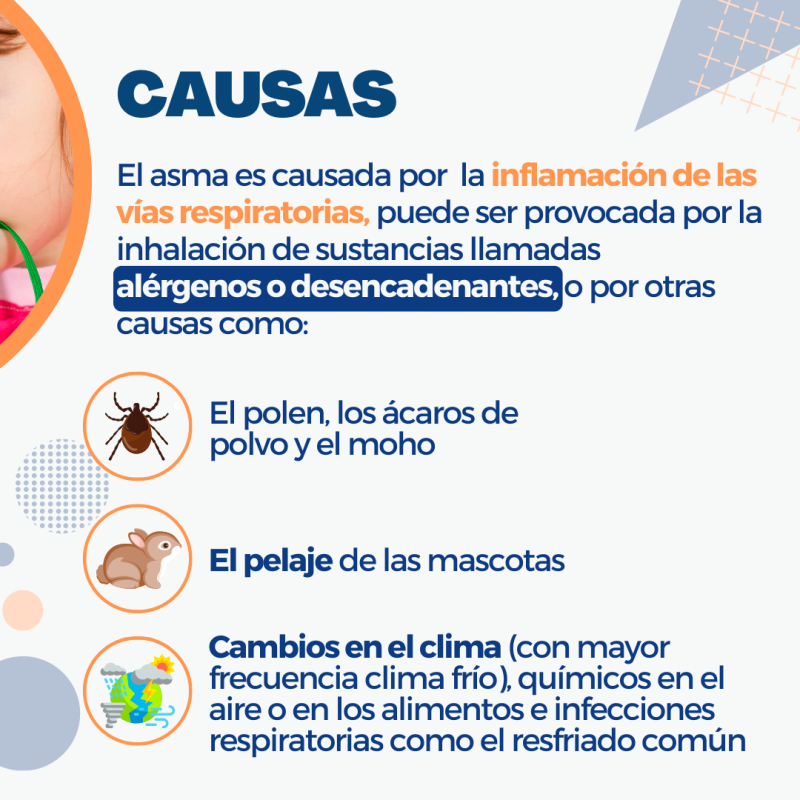 IMSALUD