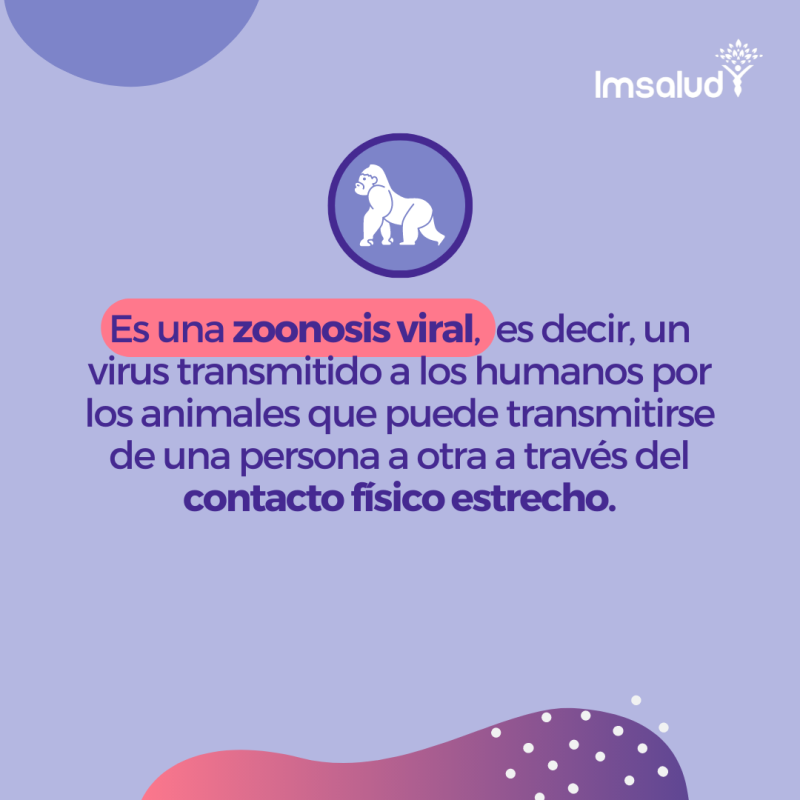 IMSALUD