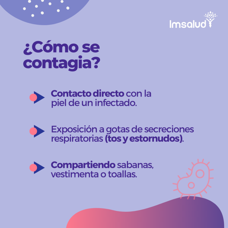 IMSALUD