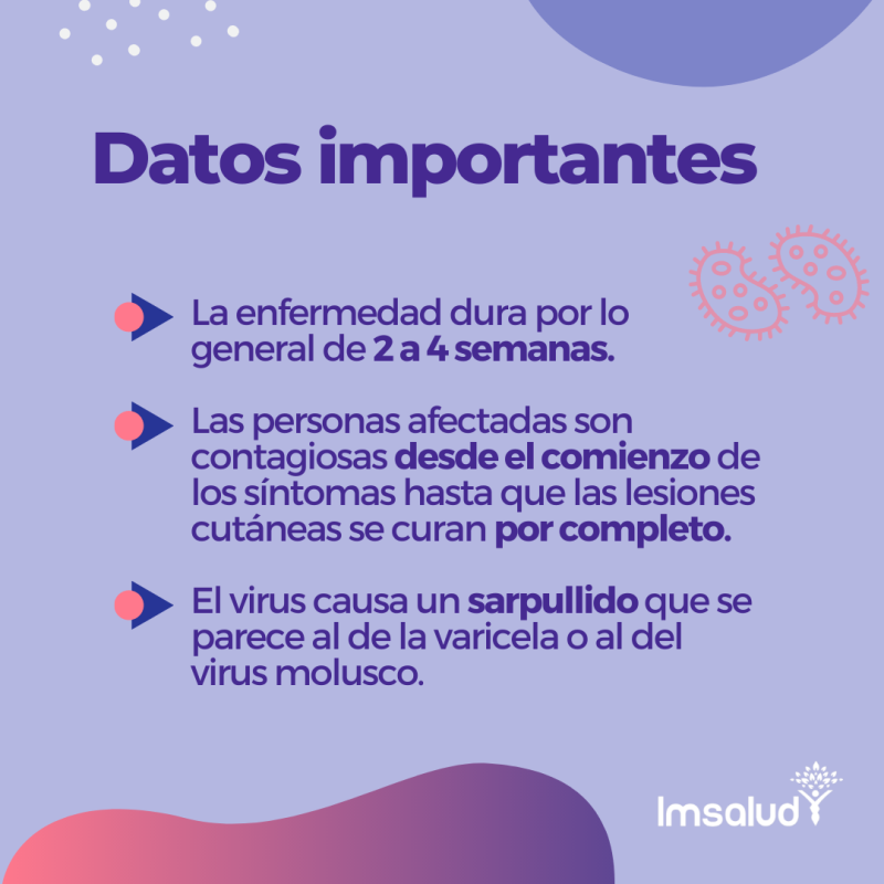 IMSALUD
