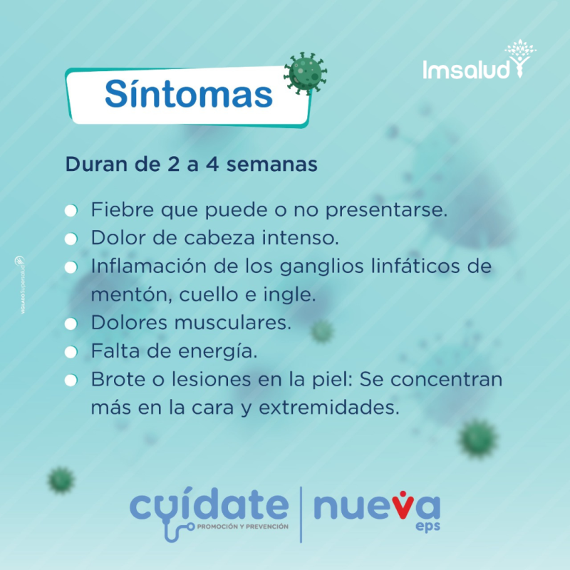 IMSALUD