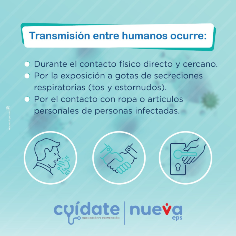 IMSALUD