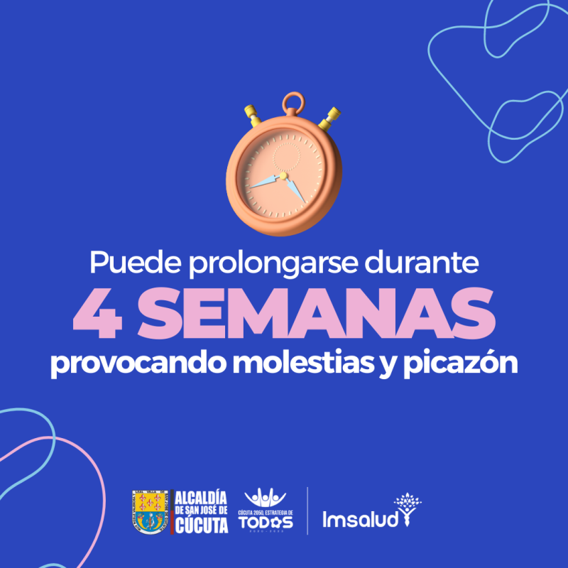 IMSALUD