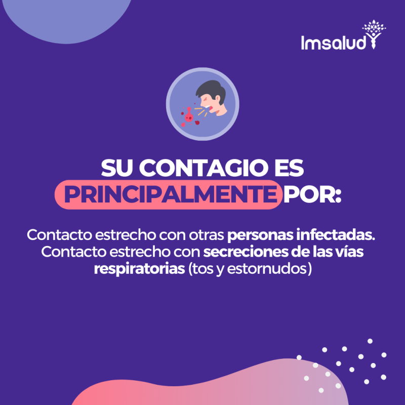 IMSALUD