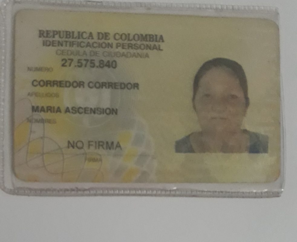 IMSALUD