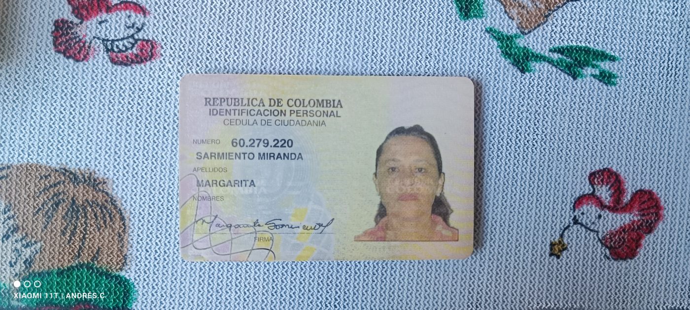 IMSALUD