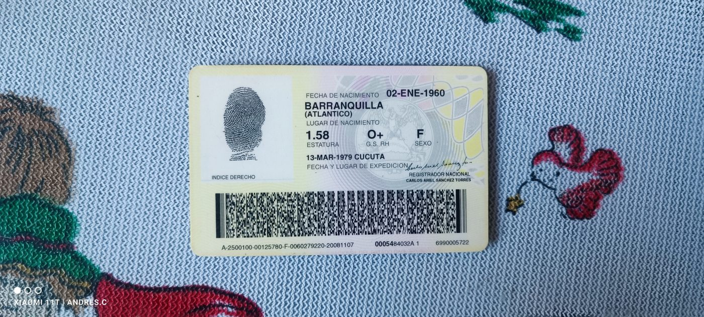 IMSALUD