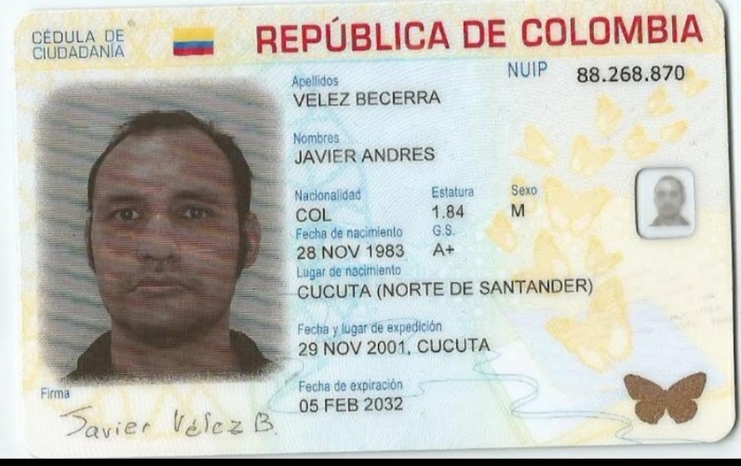 IMSALUD