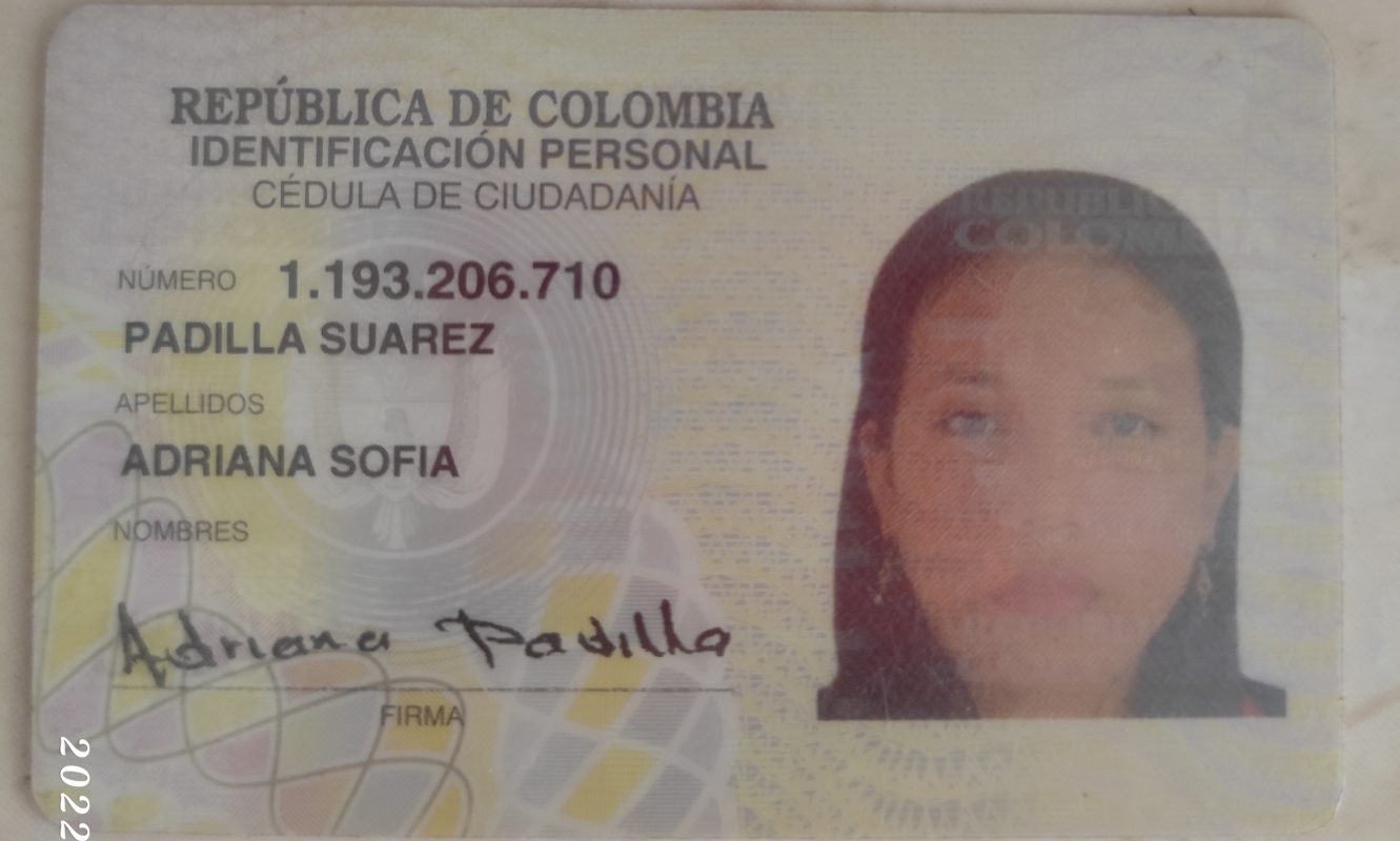 IMSALUD