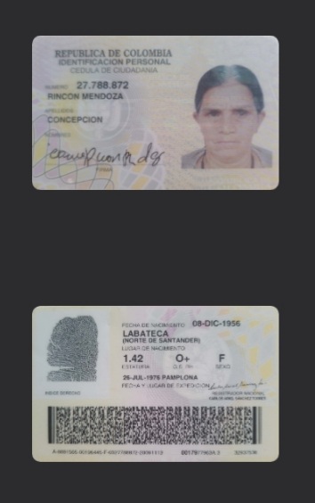 IMSALUD
