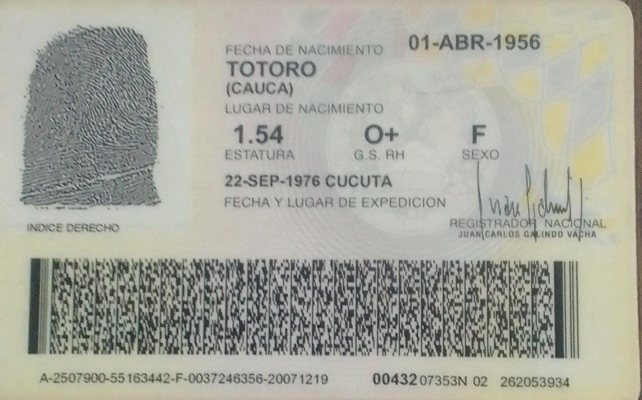 IMSALUD