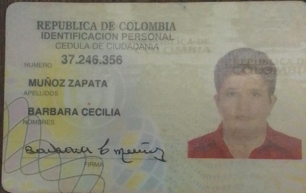 IMSALUD