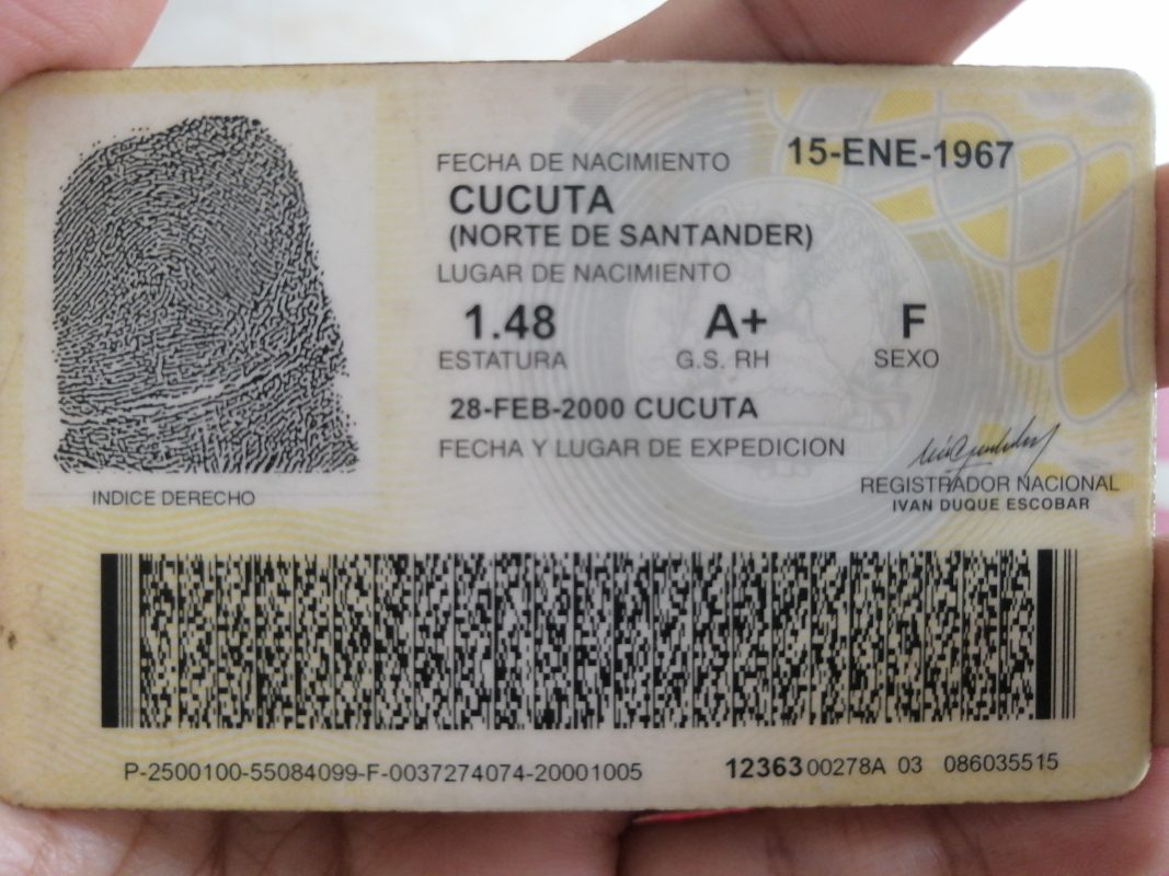 IMSALUD