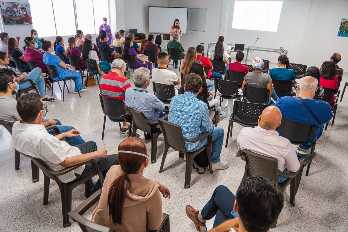 IMSALUD