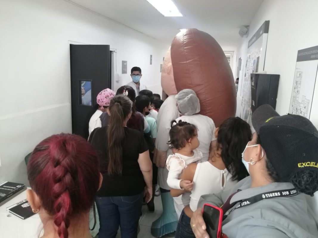 IMSALUD