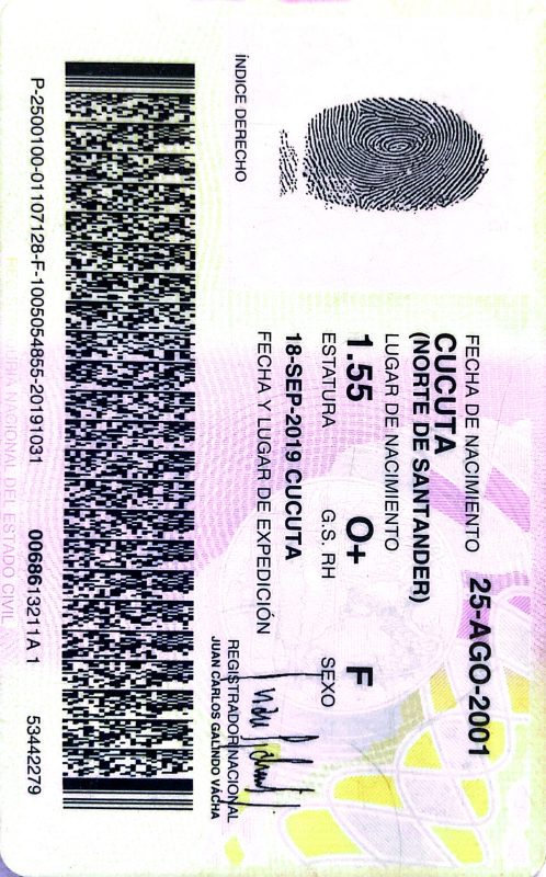 IMSALUD