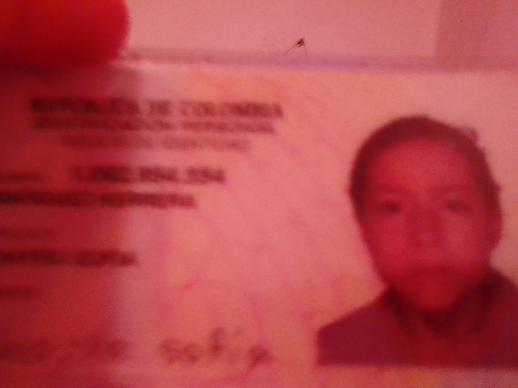 IMSALUD