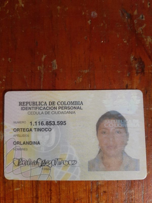 IMSALUD
