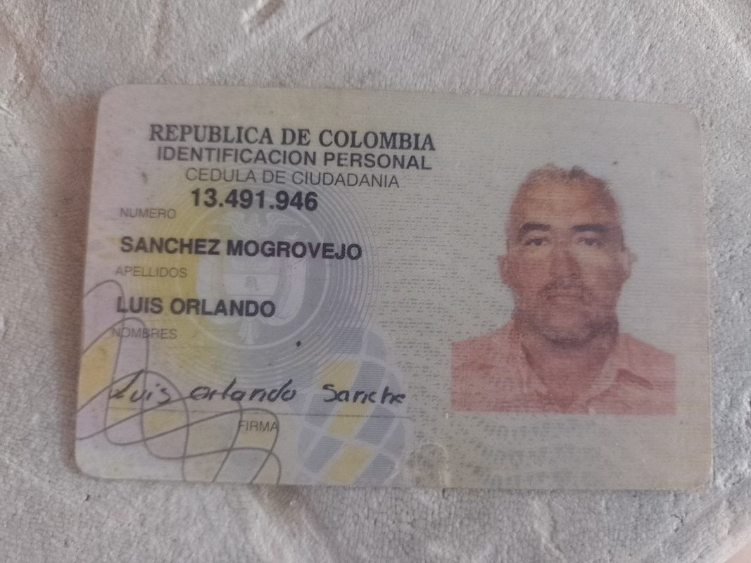 IMSALUD